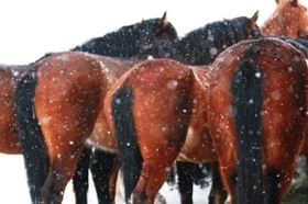 No butts about it&hellip;..
