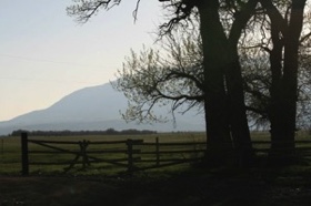 Spring time view from Deerwood Station Guest Cabin.
